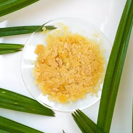 Matica Cosmetics Naturkosmetik aus Hamburg Carnbaubawachs Basis für die veganen Produkte
