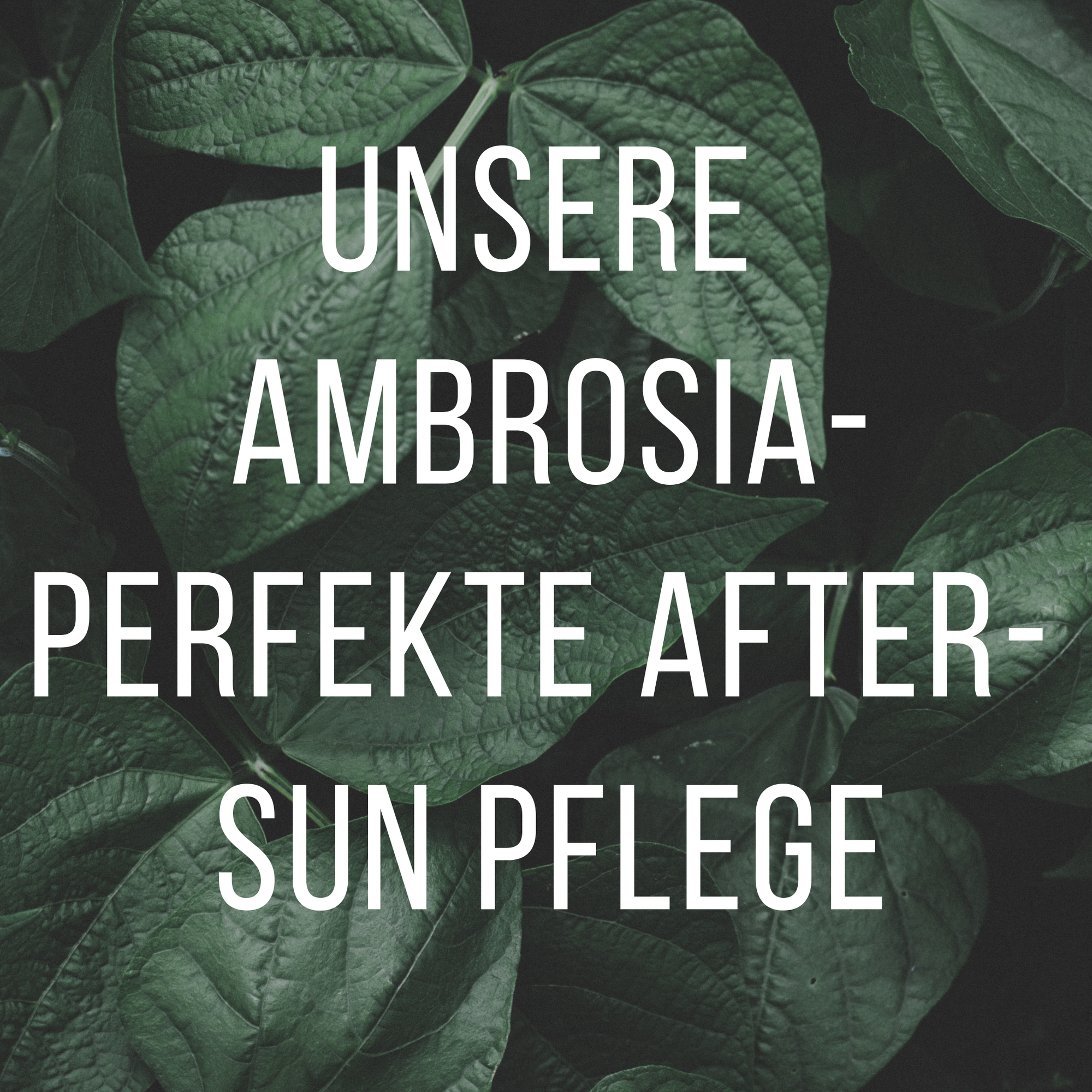 After Sun Pflege mit Bodybutter von Matica Cosmetics